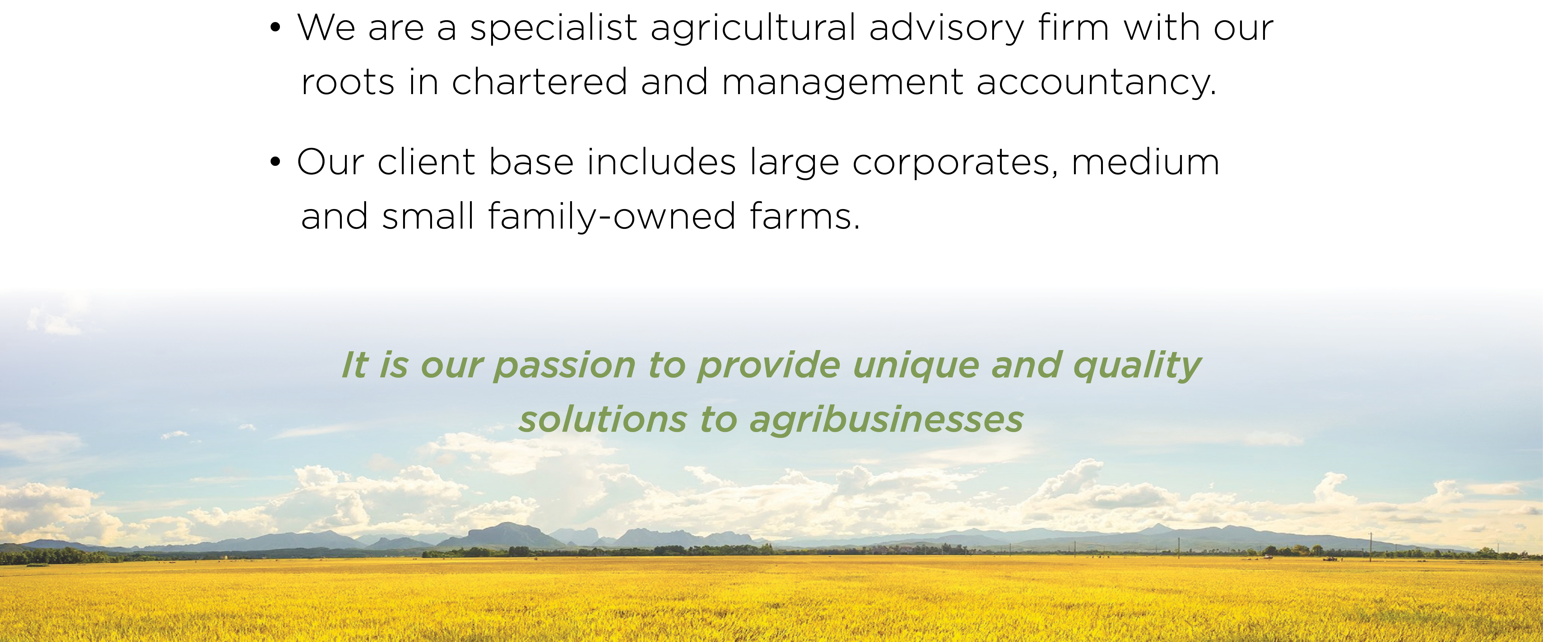 evdw accounting Stellenbosch service advisory firm livestock